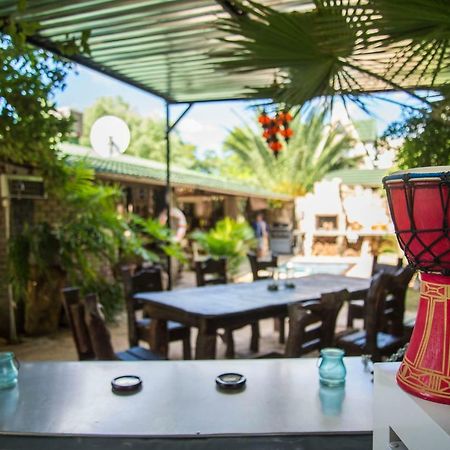 Tsumeb Backpackers & Safari旅舍 外观 照片