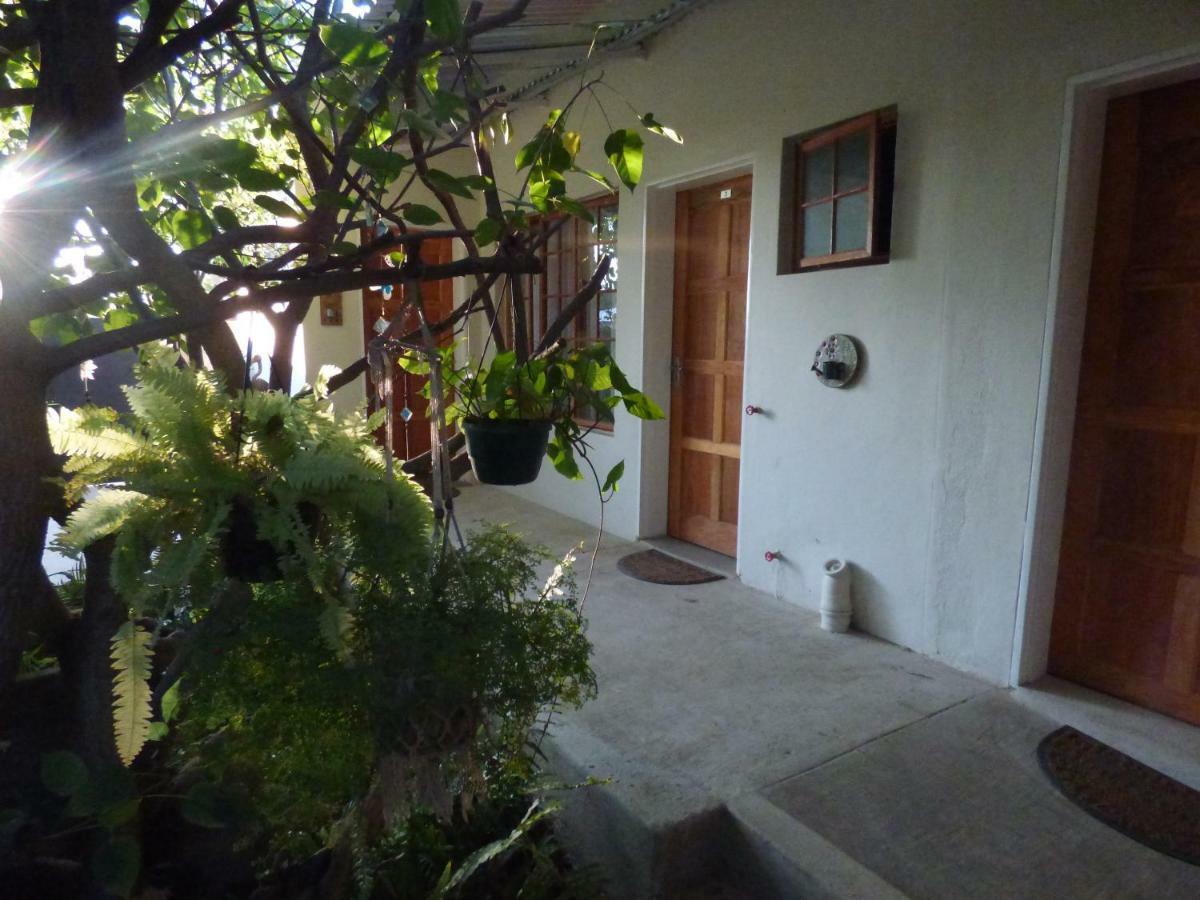 Tsumeb Backpackers & Safari旅舍 外观 照片